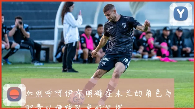 加利呼吁伊布明确在米兰的角色与职责以便球队更好发挥