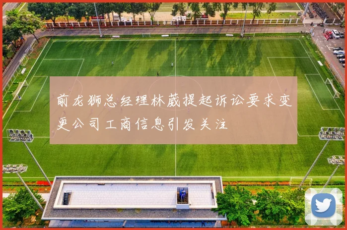 前龙狮总经理林葳提起诉讼要求变更公司工商信息引发关注